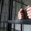 В Аше за инсценировку ДТП осуждены восемь автомошенниковВ суде установлено, что соучастники в разном составе, в том числе включая четырех инспекторов ГИБДД, в период 2016-2017 гг. совершали инсценировки дорожно-транспортных происшествий с участием дорогостоящих иномарок.Они вносили заведомо ложные сведения в официальные документы по оформлению ДТП для последующего их представления в страховую компанию. За указанный период соучастники четырежды обращались в страховые компании Челябинска и Уфы с целью получения страховых выплат на общую сумму свыше 1,2 млн р. В одном случае при попытке получения 400 тыс. р. злоумышленникам в выплате было отказано. Страховыми компаниями заявлены исковые требования, во обеспечение которых наложен арест на имущество обвиняемых (автомобили) на общую сумму 700 тыс. р.Участники группы признаны виновными по ч.2 ст. 159.5 УК РФ, ч.3 ст.30, ч.2, ч.5 ст.33 ч.3 ст.159.5, ст. 159.5 УК РФ (мошенничество, покушение и пособничество в мошенничестве в сфере страхования, совершенное группой лиц по предварительному сговору, в крупном размере). Действия обвиняемых должностных лиц квалифицированы по ч.2 ст. 292 УК РФ (служебный подлог), ч.1 ст. 286 УК РФ (превышение должностных полномочий).Судом троим бывшим сотрудникам ГИБДД назначено наказание от 2 лет 6 месяцев до 3 лет 6 месяцев лишения свободы с отбыванием наказания в исправительной колонии общего режима, со штрафом 20 тыс. р., с лишением права занимать должности в органах МВД сроком на 3 года,. Четвертому сотруднику назначено наказание в виде 2 лет 6 месяцев лишения свободы условно, с испытательным сроком 3 года, со штрафом в размере 20 тыс. р.Остальным соучастникам назначены наказания в виде штрафов в размере от 30 до 50 тыс. р., сообщает областная прокуратура.http://www.asn-news.ru/news/70584